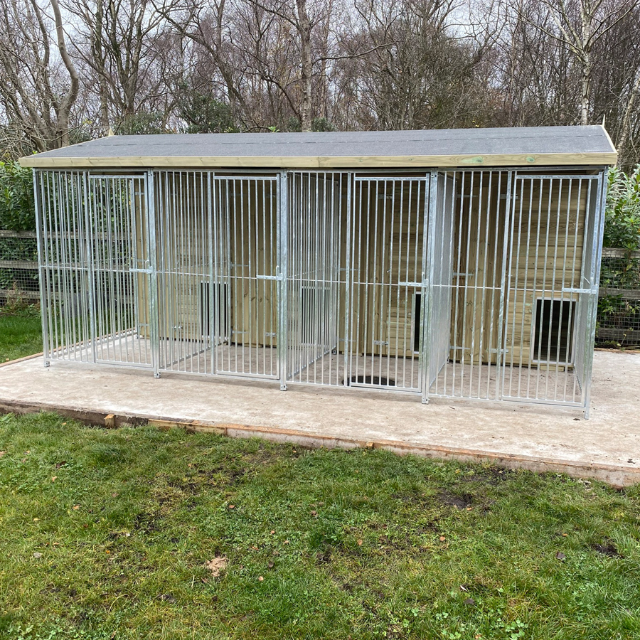Outdoor dog kennel installation process in London